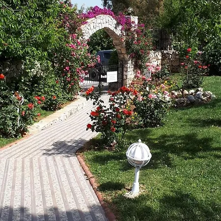 Olympos - Adults Only 3* Ovacik (Fethiye)